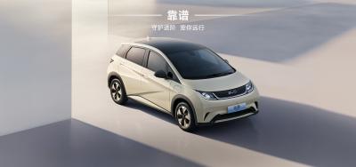 Cina BYD 2025 420 km Dolphin Active Edition EV in vendita