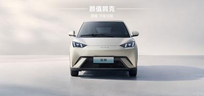 China 2025 BYD Haiou 305 KM Te koop