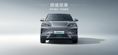 China BYD Song Plus 2025EV 550km Edição de Navegação à venda