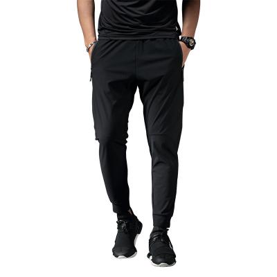 China Anti-Wrinkle Men Nylon Gym Sports Spandex Track Comfortable Running Quick Dry Pants With Zipper Pockets for sale