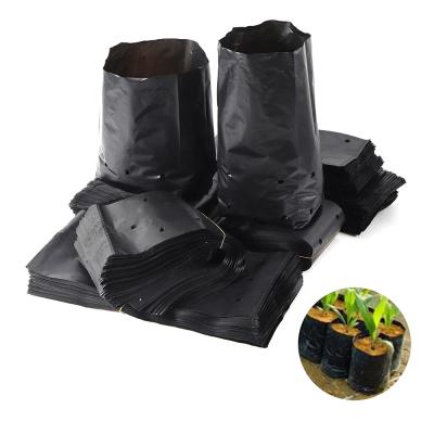 China Breathable PE Black Plastic Plant Grow Bags For Poly Flower Plant Nursery Seedling Hole Bags for sale