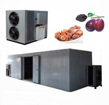 China High efficiency low energy consumption Ginkgo biloba heat pump dryer dehydrator drying machine for sale for sale