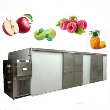 China Easy Operation WKS Heat Pump Dryer Industrial Fruit Dehydrator Banana Drying Machine for sale