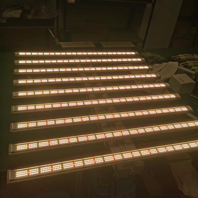 China Sunritek Seed Starting MX Led Grow Light 670w Hydroponic Light For Flowering And Vegetation With Replaceable Bar for sale