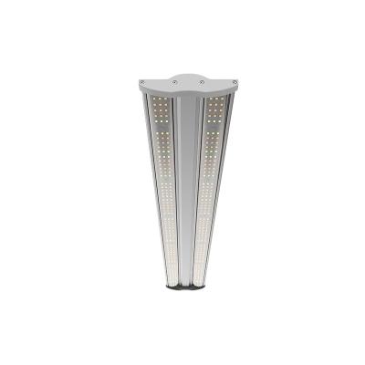 China Seed Starting City Farm 40W LED Grow Light For Vertical And Container Growing Ray Series for sale