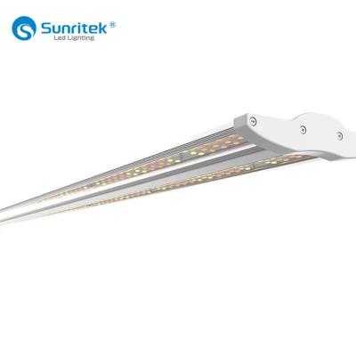 China Seed Starting Sunritek ETL&DLC Listed VS LED Grow Light For Vertical Container Farming for sale