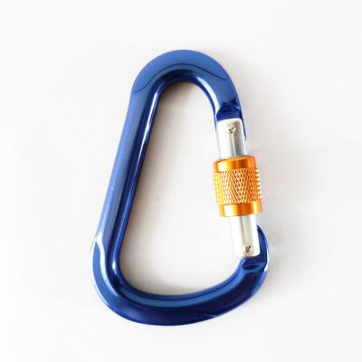 China Rotating Locking Swivel Carabiner D Shape Screw Aluminum Alloy Carabiner Key Chain Clip For Climbing for sale