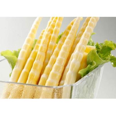 China Manufacturer Canned Wholesale Canned Chinese Vegetables Delicious Bamboo Shoots for sale