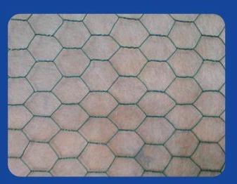 China PVC coated wire mesh for sale