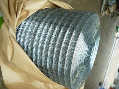 China Galvanized Welded Wire Mesh for sale