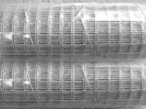 China galvanized steel wire mesh panels,holland welded wire mesh for sale