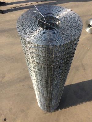 China 1*1 Welded Wire Mesh ( Galvanized & PVC coated ISO 9001) for sale