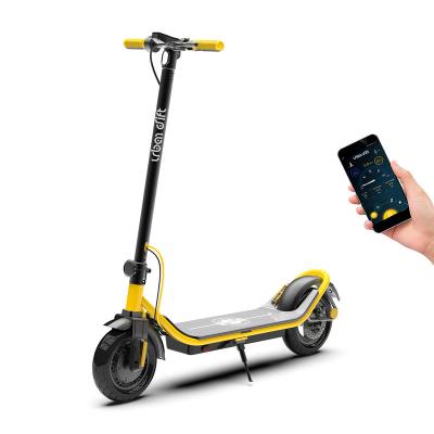 China Long Range Unisex Urban Cheap Electric Scooter 350W Warehouse US EU EU Drift Scooters For Adults With Smart App for sale