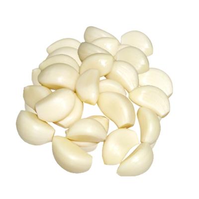 China Fresh Chinese vacuum packed fresh peeled garlic/suppler/exporter for sale