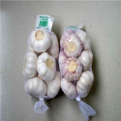 China Dubai White White Garlic from Natural Garlic Fresh and Pure Price Market for sale