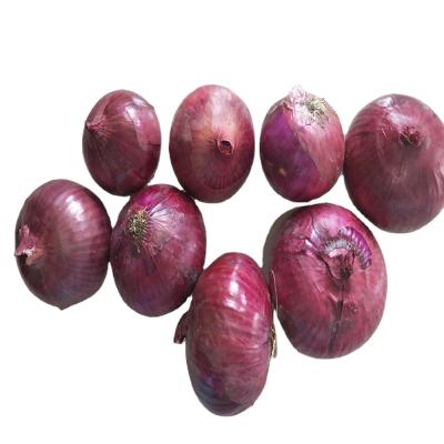 China 2021 fresh hot sale chinese natural vegetable fresh red onion for sale