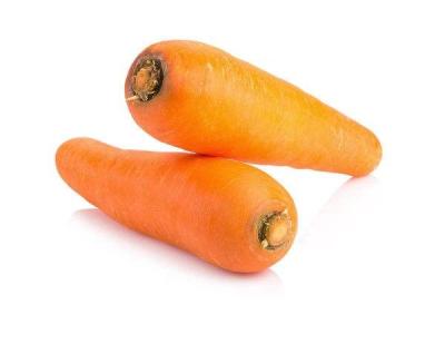 China China Fresh Fresh Carrot For Sale Wholesale Red Carrot With Nice Price for sale