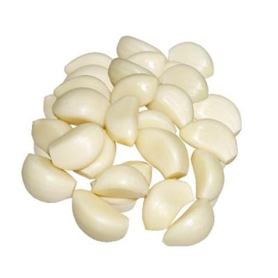 China Hot Selling Fresh Peeled Garlic Garlic Vacuum Peeled Production Line for sale