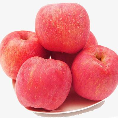 China China Best Price Fresh Apple Fresh Fruits Fuji Red Delicious Fuji Apples for sale