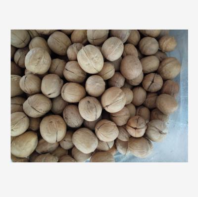 China Chinese Dry Walnut Price 2020 for sale