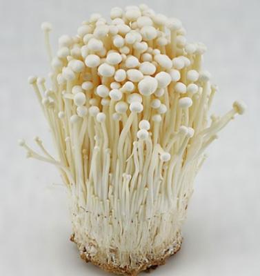 China New Culture Healthy Chinese Fresh Enoki Mushrooms for sale