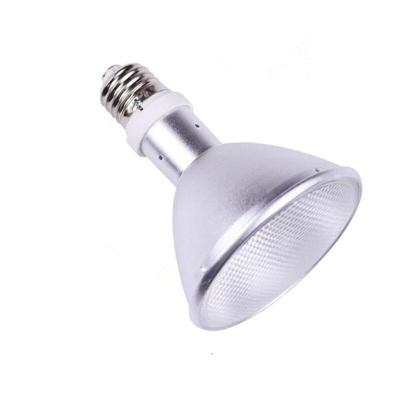 China FTL Full Spectrum Reptile HID Lamp 35W 6500k UVB Bulb 6000K Daylight Alert CE/ROHS Certified for sale