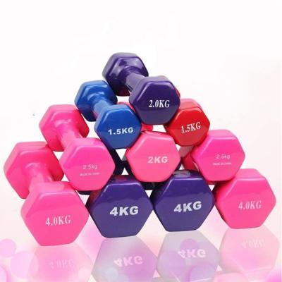 China Plastic Dip In Stainless Dumbbell Gym Dumbbell Set Weights Steel Dumbbell For Girls for sale