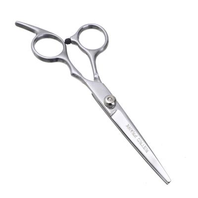 China Professional Thinning Scissors Amazon Top Selling Hair Scissors Stainless Steel Stainless Steel Hair Cutting Scissors Silver Hair Scissors for sale