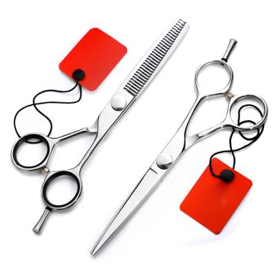 China Hot Thinning Scissors 6 Inches Carbon Steel Hairdressing Scissors Hair Scissor Set Professional Hair Cutting Scissors for sale