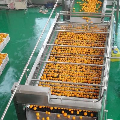 China Todo automático máquina de jugo de naranja personalizable nueva máquina de procesamiento de jugo máquina completa de procesamiento de frutas en venta