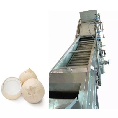 China Customized Coconut Milk/water Process Machine Fruit Juice Press Extractor Machine Coconut Production Plant Fruit juice processing line for sale