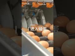 egg breaking machine vertical type