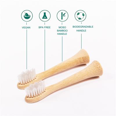 China Hotel Castor Oil Made Bamboo Toothbrush Biodegradable PLA Brush Heads For Phillips for sale