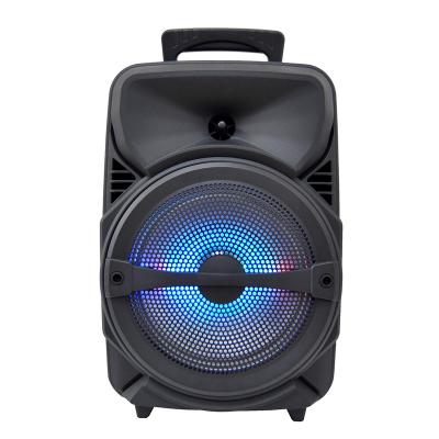 China Hot Selling Dual 8 Inch Wireless Portable Rechargeable Trolley Speaker Bluetooth Party Portable Speaker for sale