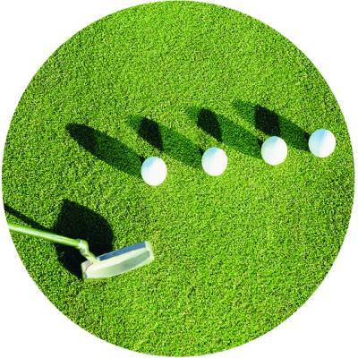 China PE & PP Artificial Grass Sports Flooring Grass Lawn Landscape Golf Putting Green G13 for sale