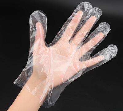 China Universal Food Grade Waterproof 100% Biodegradable Clear Clear Disposable PE Water Proof Kitchen Plastic Gloves for sale