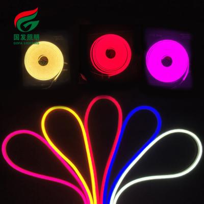 China Garden Led Neon Strip DC 12V 24V 110V 220V Silicon Led Neon Sign RGB Led Flex Led Foot Color Changing Neon Car Led Strip Grow Light for sale