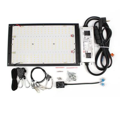 China Seed Starting Light Panel 125w LED Grow Light For Indoor Plants Lighting Driver GOOD MID XLG-150-H-AB for sale