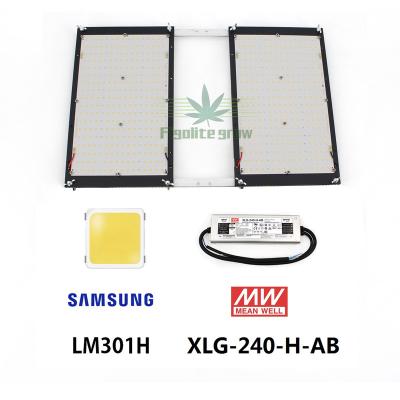 China Seed Starting Russia Free Shipping Figolite 240W Led Board Grow Original lm301h Mix 660nm IR MeanWell Clear UV Driver for sale