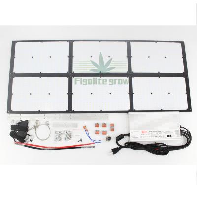 China Seed Starting Figolite 600w Indoor Led Grow Light Original LM301H Led Panel v3 Full Spectrum Mix 660nm IR UV for sale