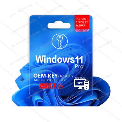 China Original Windows 11 Pro Key Code 100% Activation Online Win 11 OEM Key By Email,Windows 11Pro OEM Retail Win Key Software From schlssel for sale