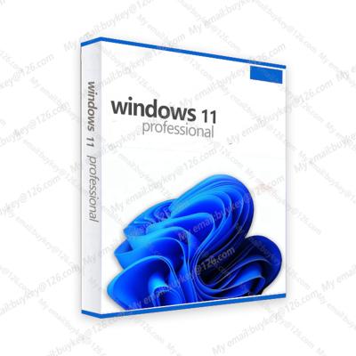 China Win 10 Professional Win 10 Key Software Online Win 11 Pro Genuine Key Activation OEM Win 11 Pro Email Delivery Professionals for sale