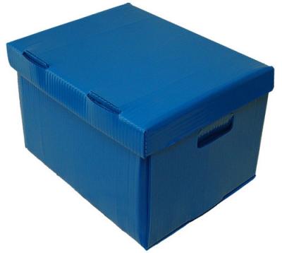 China Ad Tab Lock Hard Fresh Grape Fruit Polypropylene PP Eco-friendly Material Plastic Folding Corrugated Corrugated Box for sale