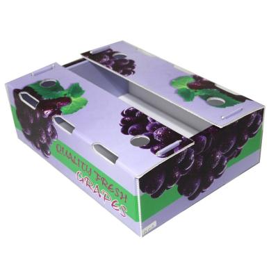 China Other Customized Polypropylene Corrugated Plastic PP Fruit And Vegetable Box for sale