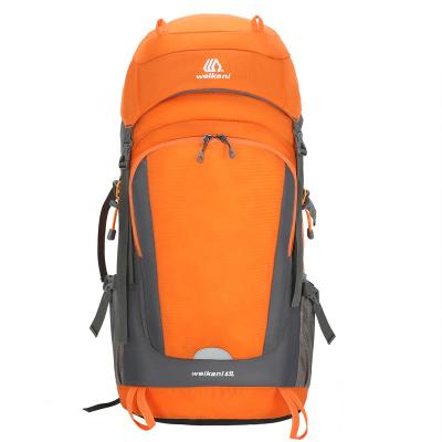 China 65L Backpack Water Bag Modern Hot Selling Outdoor Multifunctional Hiking Customized Design Travel Hiking Hiking Bag Rucksack for sale