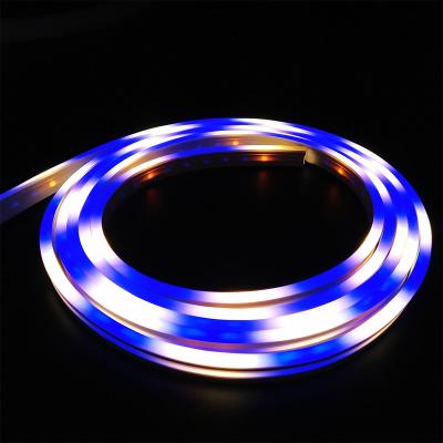 China LANDSCAPE Manufacturing Hotel Silicone 12v Anti-UV Environmental Friendly High End Lights With Led Color Lights String Neon Lamps for sale