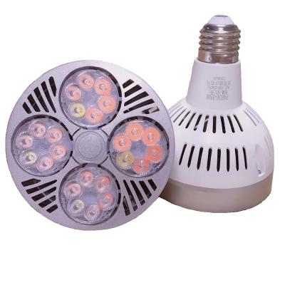 China Residential rgb bulb e27 par30 red green blue lamp led light for sale