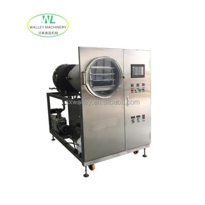 China Pilot Type Vacuum Freeze Dryer Laboratory Grade Performance Factory Price For Food Freeze Drying Machine For Sale for sale