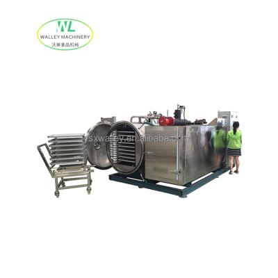 China Industrial Large Scale Vacuum Freeze Dryer Production Grade Performance Factory Price Freeze Dryer For Food for sale