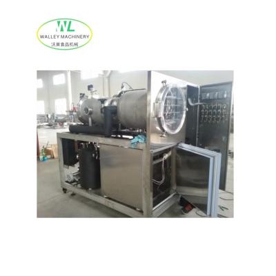 China Fruit Vegetable Customizing Freeze-Dried Small Equipment Is Used For Experiments For Laboratory for sale